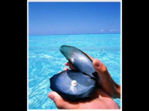 Nilüfer-Kavak Yelleri