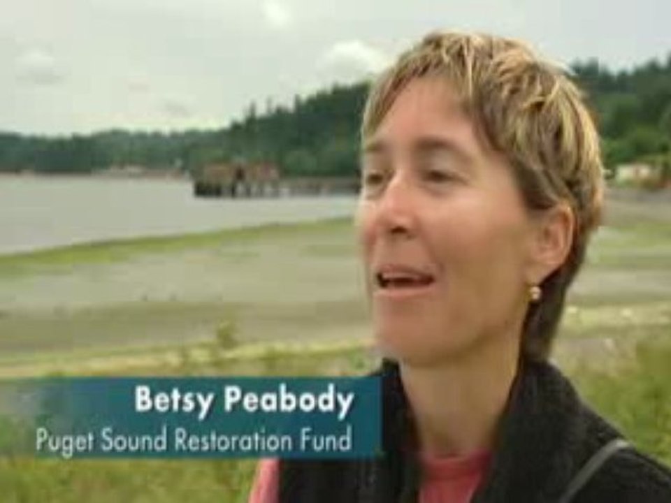 Puget Sound Matters: Olympia Oysters