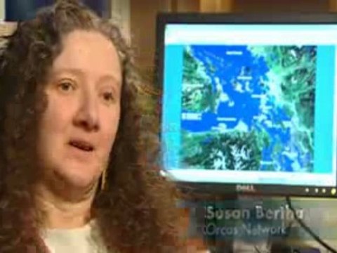 Puget Sound Matters: Orca Network