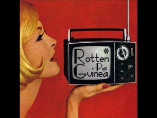 Rotten Guinea Pigs - A Place Where I Can Dive