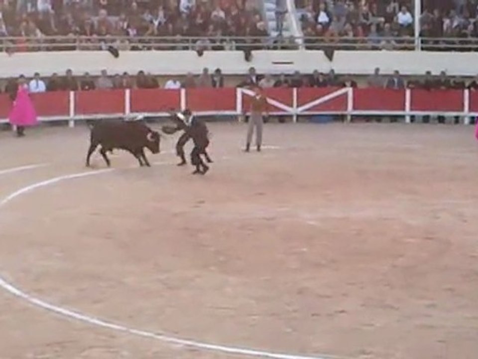 Juan Bautista Festival Taurin aux Saintes