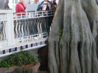 CALIFORNIA ACADEMY OF SCIENCES