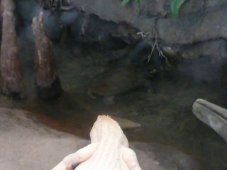 CALIFORNIA ACADEMY OF SCIENCES