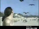 Régis n'aime pas les oiseaux