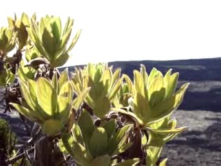 Le piton de la Fournaise