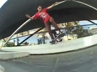 Skate USA Element 2009-2010 SM2