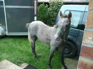 Vaughn In Tanall en transit 2ème étape 2/5