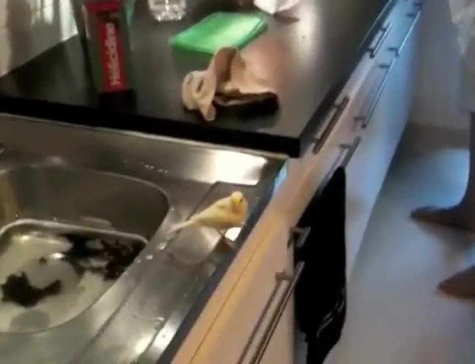 cacahuete se lache !!!!!!