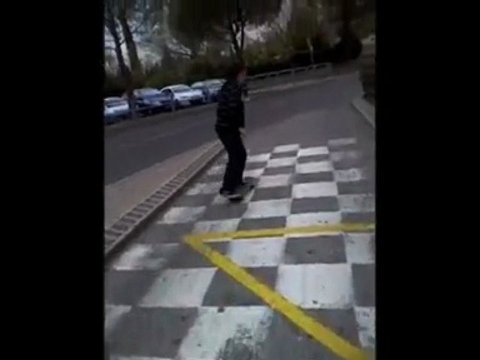 nico elliot et max sur roulettes