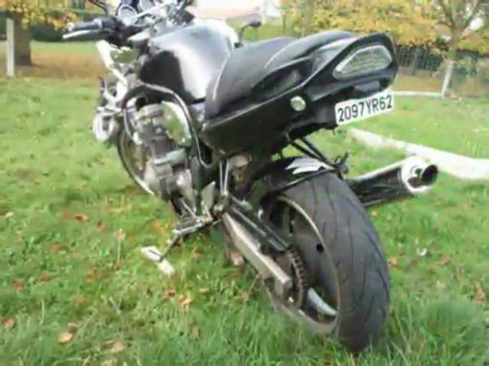 bandit et hornet