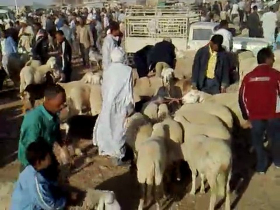 Marché de tolga 02