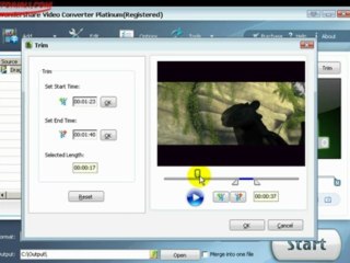 How to use Wondershare Video Converter Platinum