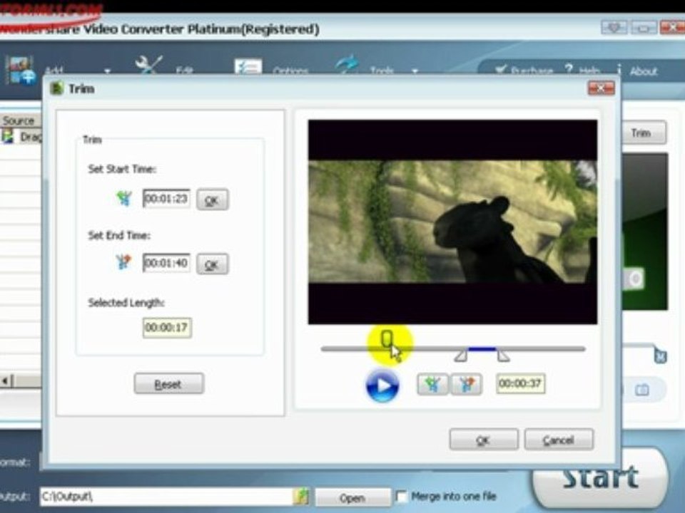 How to use Wondershare Video Converter Platinum