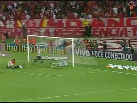 GALO FORTE VINGADOR
