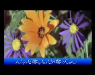 Ya Rabbi Salli 'Alannabiyyil Mustafa 2/4