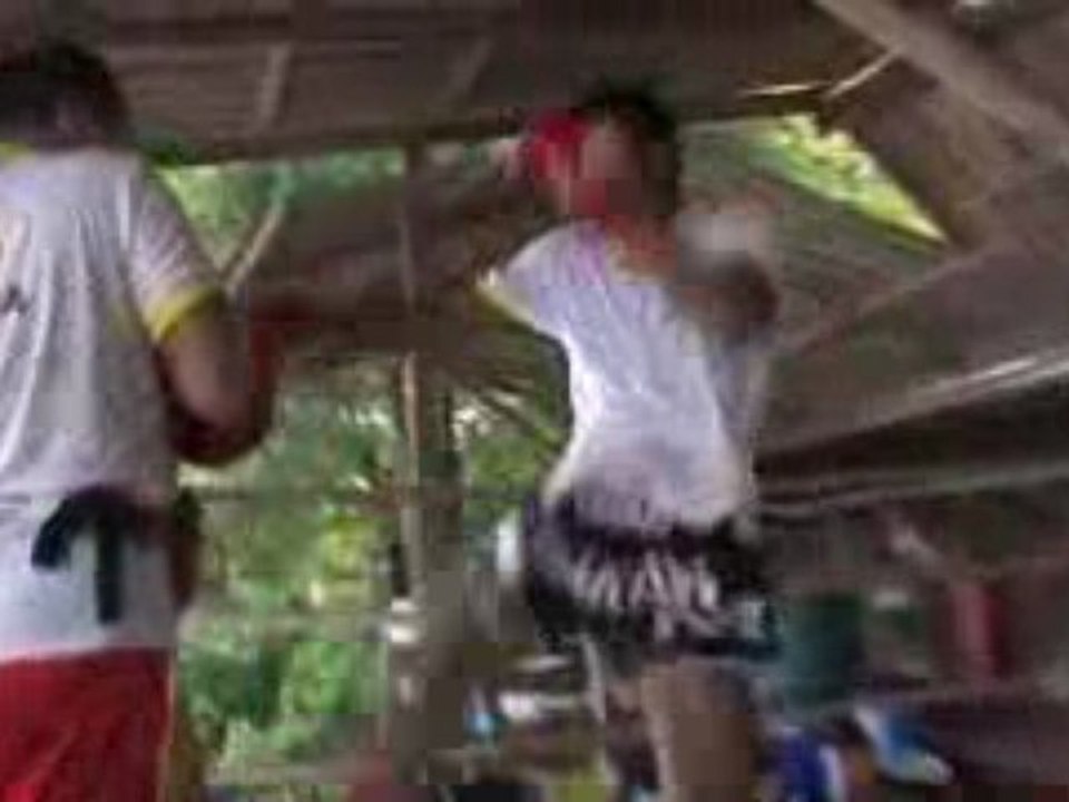 buakaw training kick