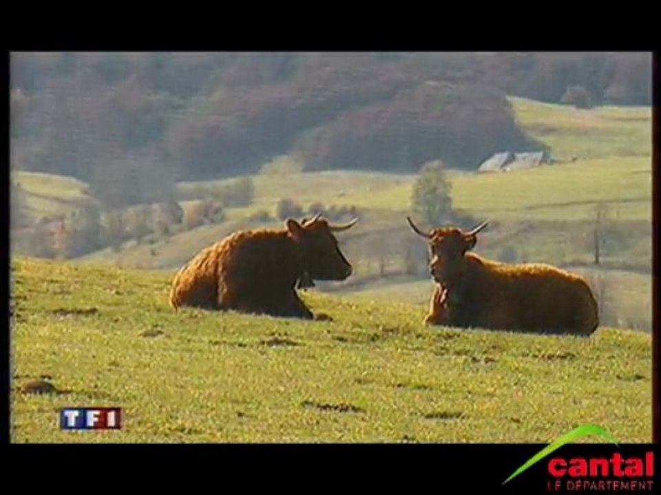 l'Acajou des Volcans (Riom es Montagnes)