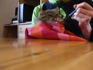 YOUT mange de la soupe