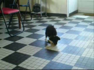 Ewes nouvelles photos!