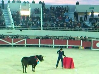 Thomas JOUBERT Festival Taurin des Stes Maries