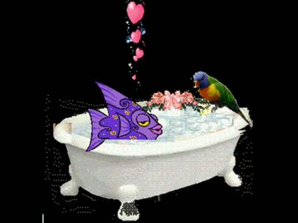 Un petit poisson, un petit oiseau