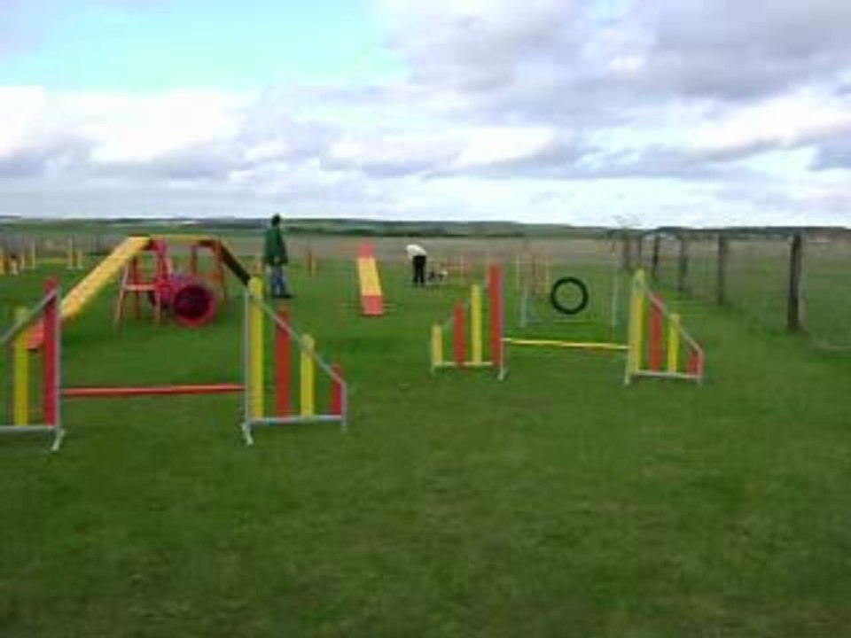 agility du 7 Novembre
