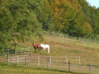 diaporama Obélie et Romane 2009