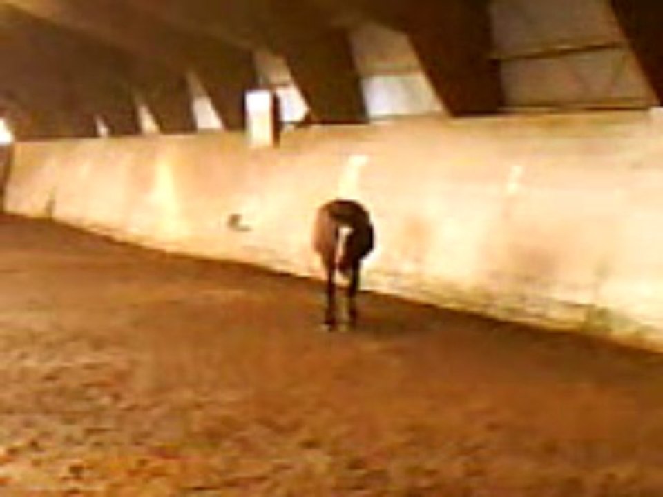 Dark Vador en lib part 1/2