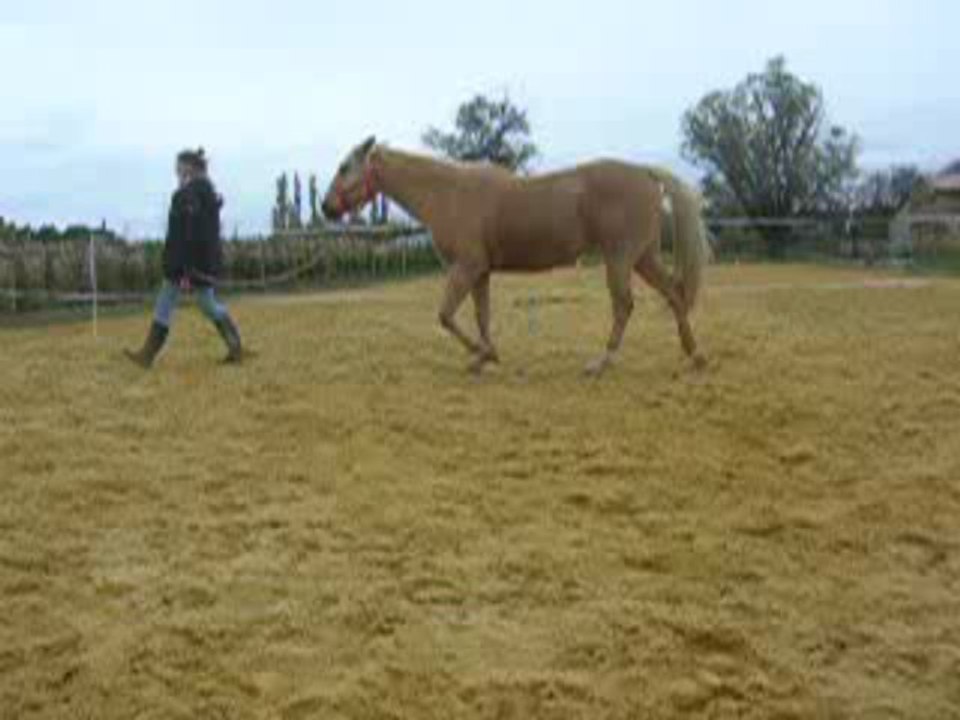 Travail en main