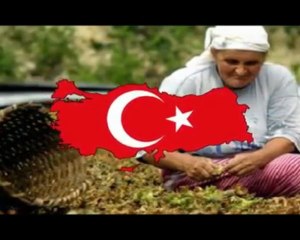 Türk OLmak!!!