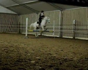 Mambo - 7 Novembre 2009