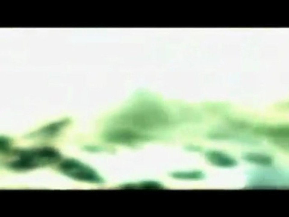 Call of Duty 4 Modern Warfare : Reflex - Trailer