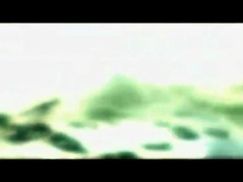 Call of Duty 4 Modern Warfare : Reflex - Trailer