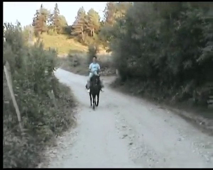 hacımusa kovboyu