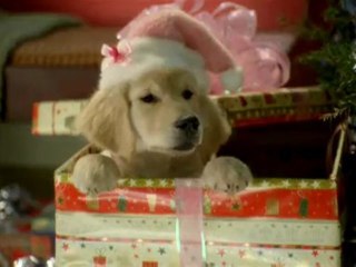 Les Copains fêtent Noël