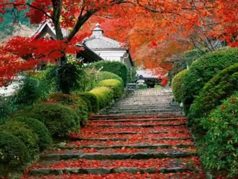 Jesienny deszcz KICIA222