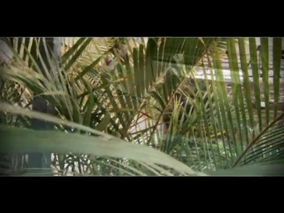 Clip 974 Benjam - Vien wouar mon péi