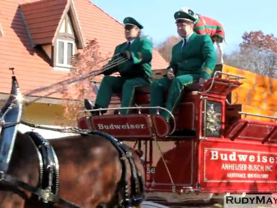 The Budweiser Clydesdale Horses of Merrimack, New Hampshire video