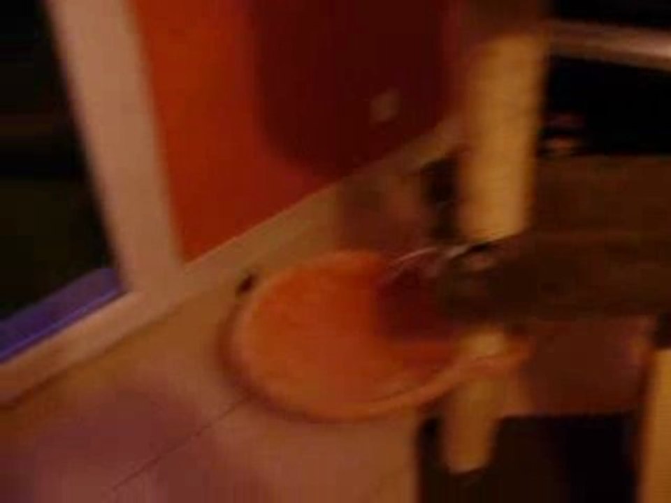 Vidéo Gag version Léo ^^