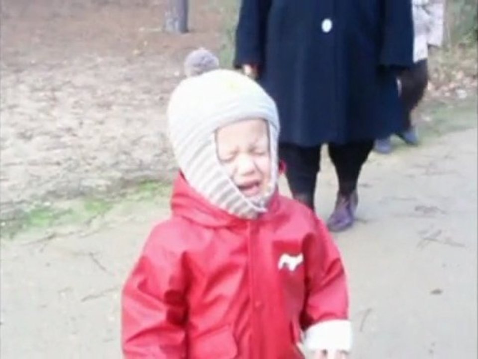 Balade maritime et forestière