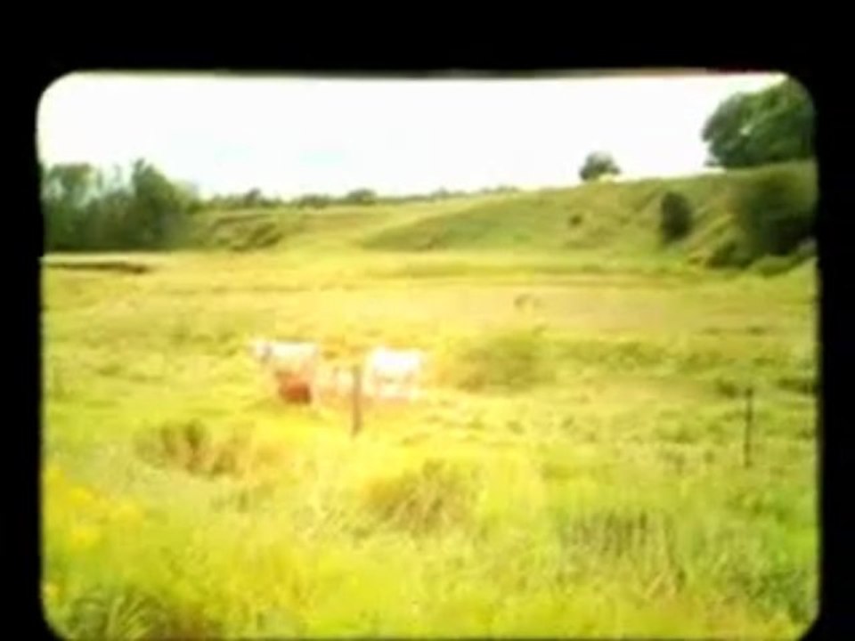 Art of Fresh - Campfire Music