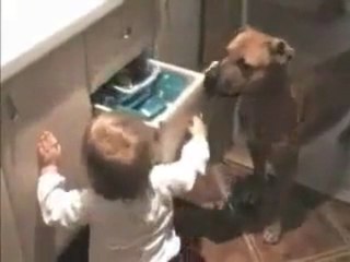 Bebek ve Köpeğin Çekmece Oyunu :)