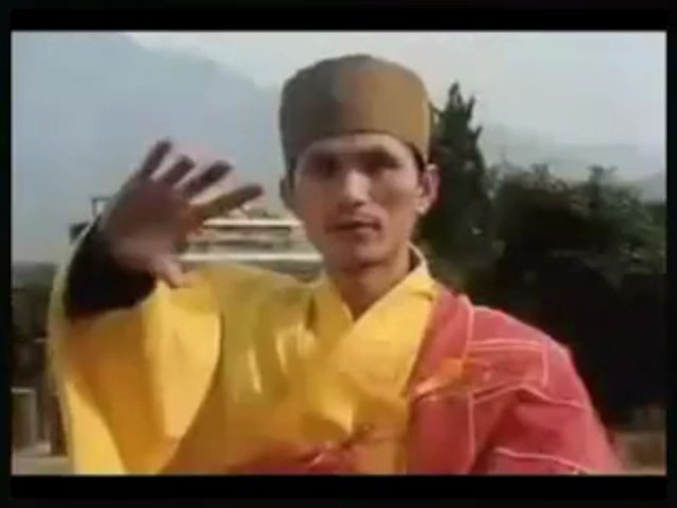 Entrainements Shaolin traditionnels 2/3