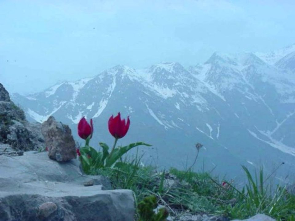 Koma Xelikan - Eze derem Sere Ciya