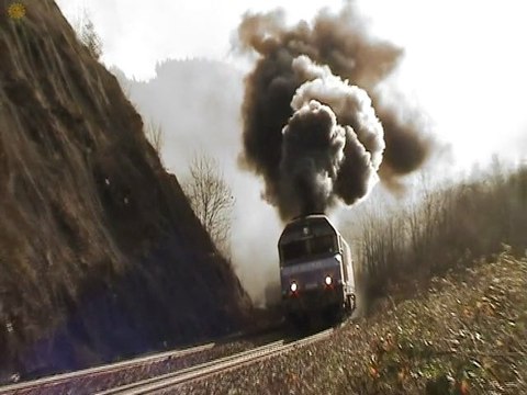 cc 72049 en panne dans les sauvages