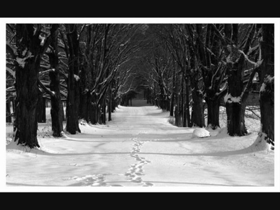 Permafrost of hatred - I