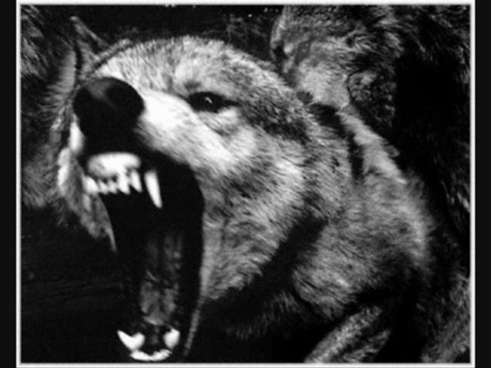 Permafrost of hatred - III