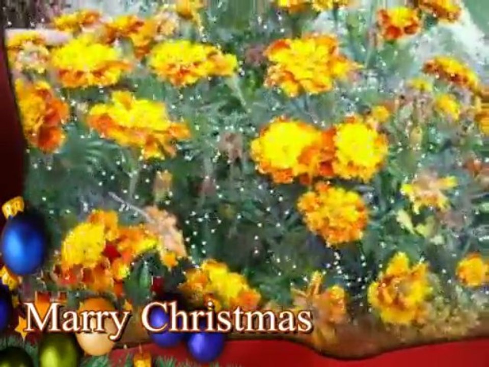 Felice Natale