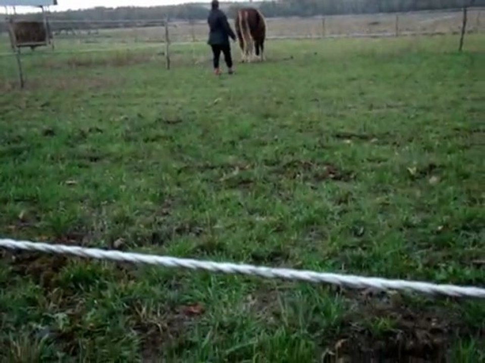 uria rond de longe 1ere