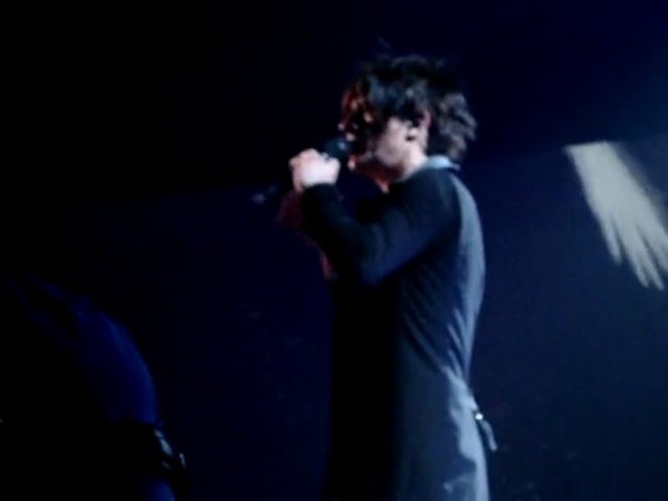 Concert Indochine Limoges 07/11/2009